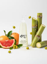 Load image into Gallery viewer, AHA/BHA Exfoliating Cleanser - Exfoliating Cleanser With Acids